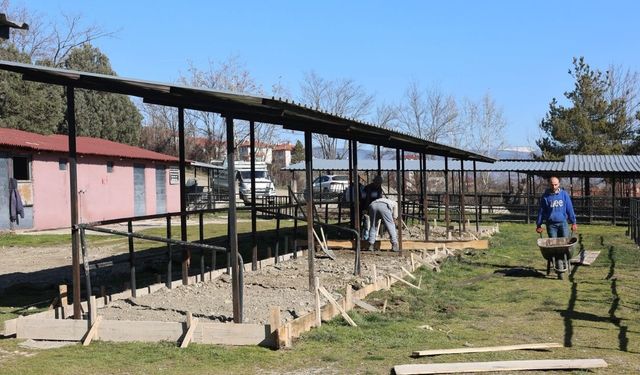 Taşköprü’de Hayvan Pazarına konfor sağlayan dokunuş