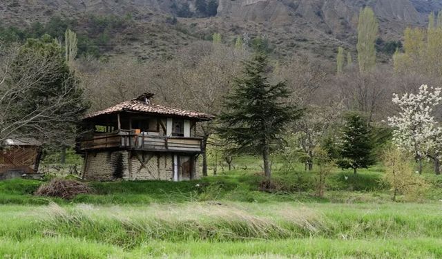 Kastamonu’da arazi sahiplerinin kafası karışık!