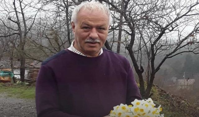 Kastamonu İnebolu Haberleri