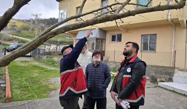 Çatalzeytin’de Tarım Eğitimi Bahçelerde Gerçekleştirildi