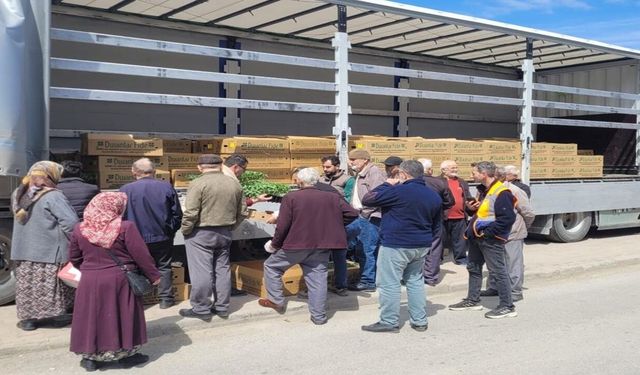 Kastamonu'da çiftçilere büyük destek: 147 bin fide dağıtıldı