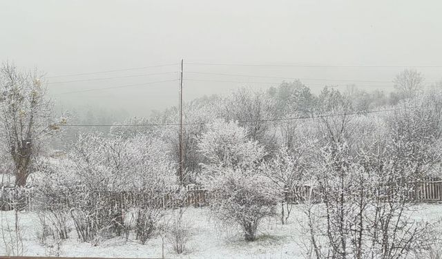 Taşköprü’nün yüksek kesimleri kara büründü