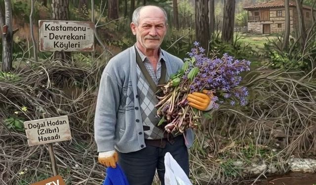 Kastamonu’da sofraların en lezzetli çiçeği: Hodan pazarda yerini aldı