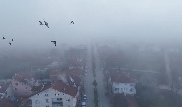 Kastamonu'da yoğun sis etkili oldu: Görüş mesafesi 30 metreye kadar düştü