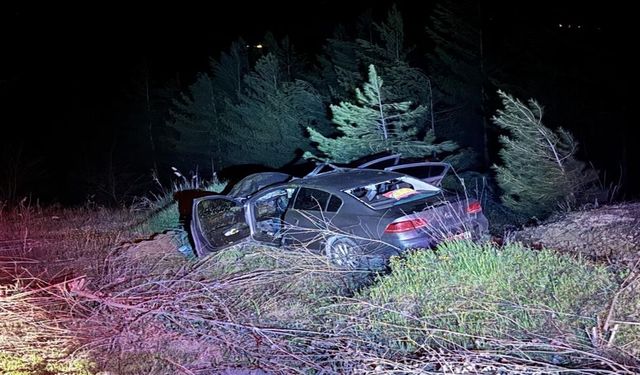 Korkunç kaza! Kastamonu plakalı otomobil ata çarptı: Yaralılar var