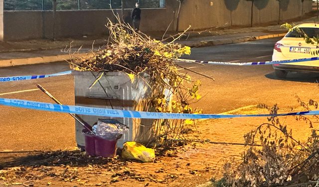 Kastamonu'da bebeğini çöpe atan anne hakkında yeni gelişme