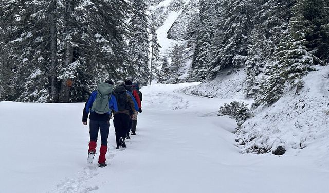 Kastamonu'da kar yağışının beyaza bürüdüğü dağ ilgi görüyor