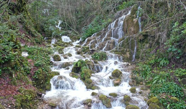 Kastamonu'da şelalelerin debisi arttı