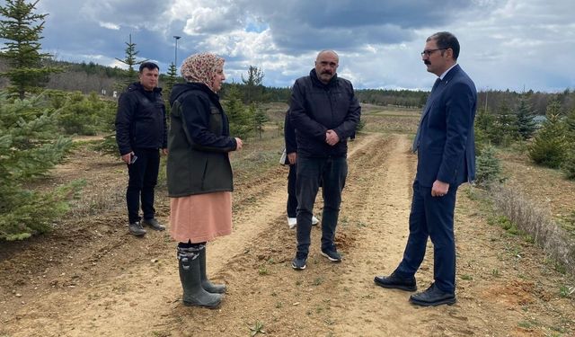 Kaymakam Demirdağ, Taşköprü Orman Fidanlık Şefliği’nde incelemede bulundu