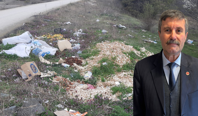Taşköprü’de yol kenarı çöplüğe döndü
