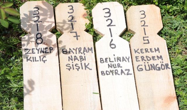 Yürek yakan fotoğraf: Okul değil, mezar numarası!