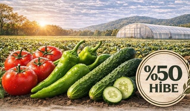 Taşköprü'de üreticilere yüzde 50 hibeli sebze fidesi!