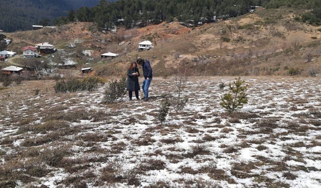 Taşköprü’de kritik mera hamlesi: İki köyde saha incelemesi başladı