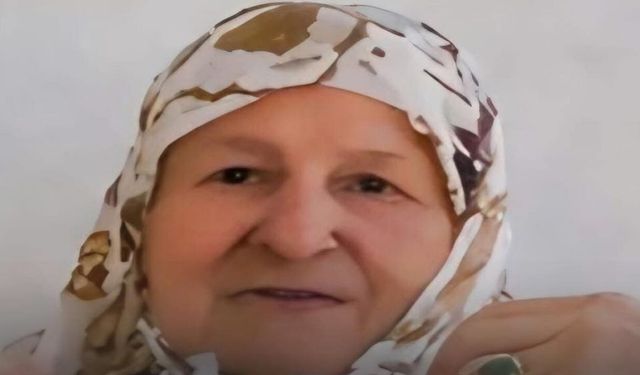 Kastamonu İnebolu Haberleri