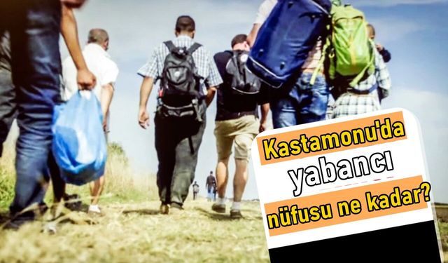 TÜİK açıkladı: Kastamonu’da ne kadar yabancı var?