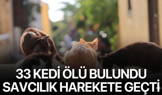 Gündem Haberleri