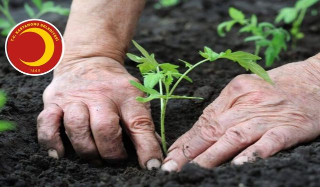 Kastamonu Belediyesinden müjde: Ücretsiz dağıtacak