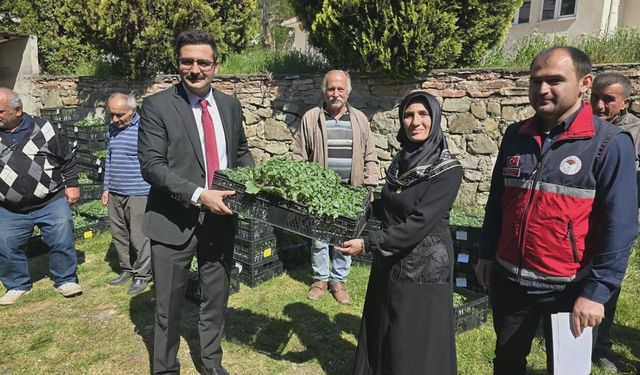 Hanönü’nde üreticilere büyük destek: 160 üreticiye 30 bin fide