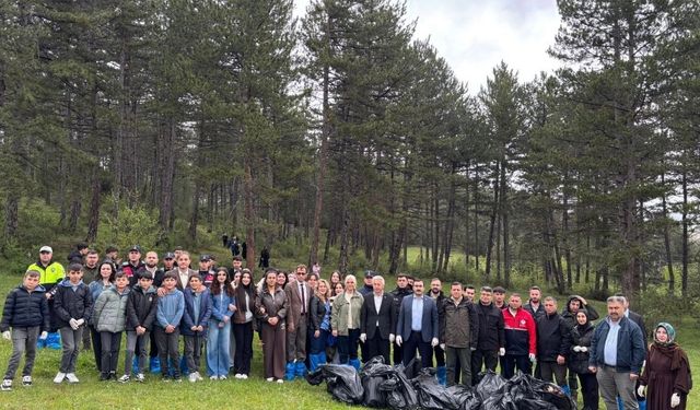 İhsangazi’de Yeşil Vatan seferberliği: Ormanlık alan temizlendi