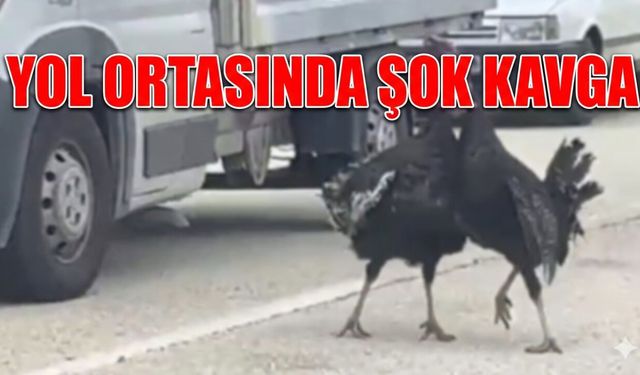 Gündem Haberleri