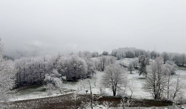Kastamonu’ya Mayıs’ta kar yağdı: Beyaza büründük