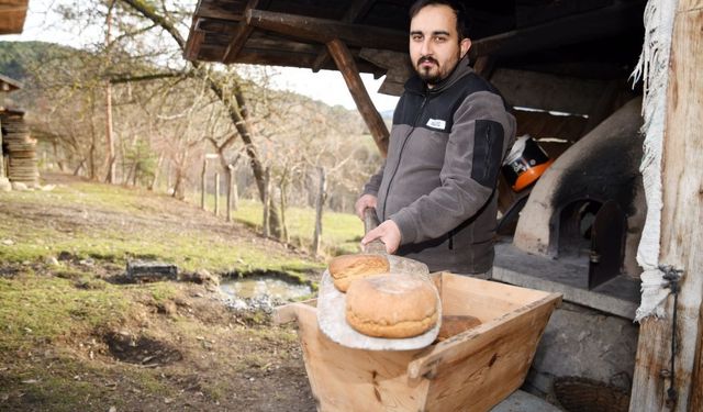 Kastamonu siyezi İtalya yolunda: Buz Adam Ötzi’nin yanında sergilenmek üzere gönderildi