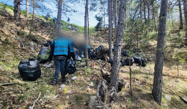 Kastamonu’da kirletilen alan yeniden doğaya kazandırıldı