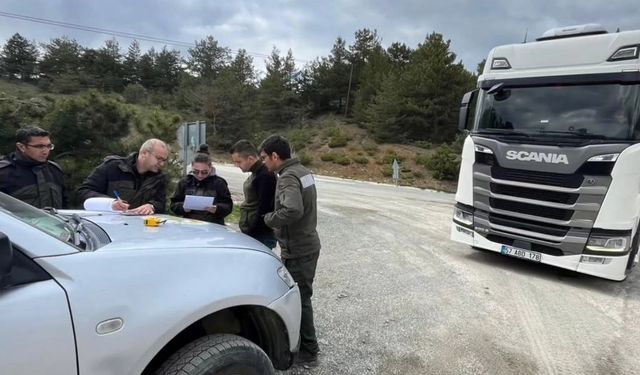 Kastamonu’da orman kaçakçılığına geçit yok