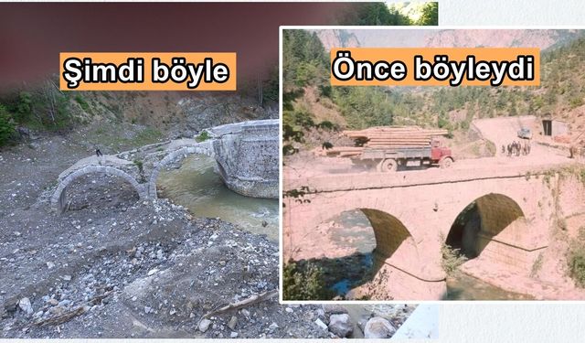 Kastamonu’da emekli akademisyen paylaştı: ‘Peşini asla bırakmam’