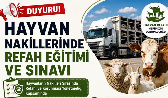 Yaşam