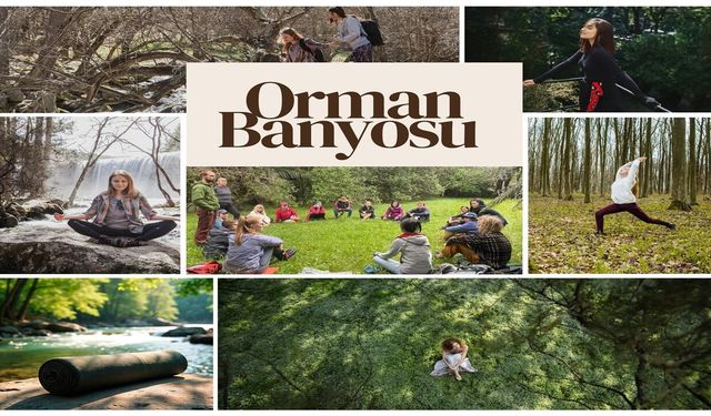 Kastamonu’da, doğanın iyileştirici gücü turizmle buluşuyor!