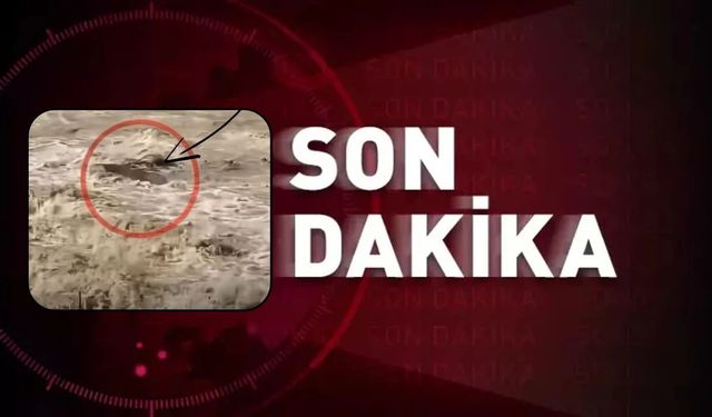 Taşköprü’de Gökırmak’a kapılan inek telef oldu