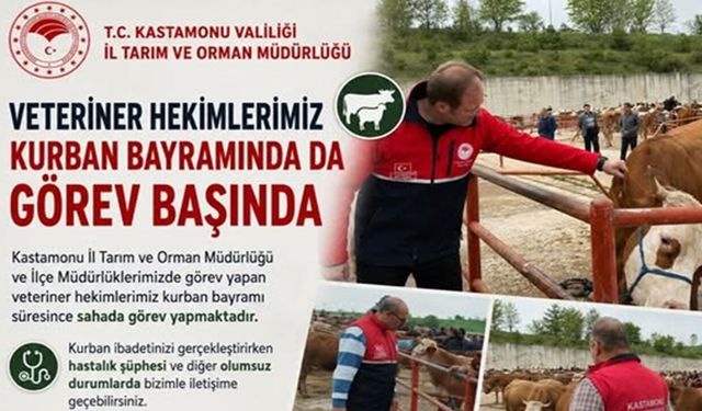 Kastamonu'da veteriner hekimler bayramda görevde