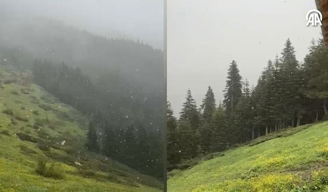 Kastamonu yaylalarına mayıs karı yağdı