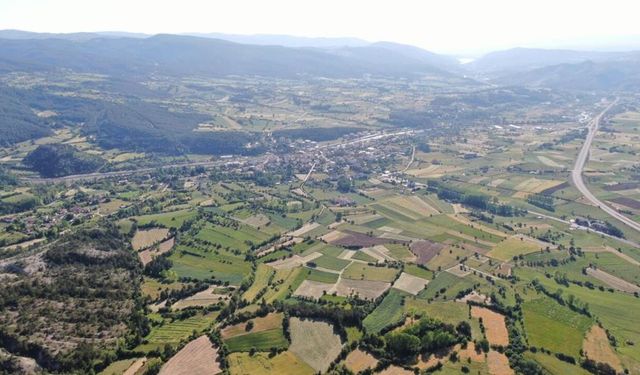 Kastamonu'da 12 bin yıllık buğdayın sahası genişliyor