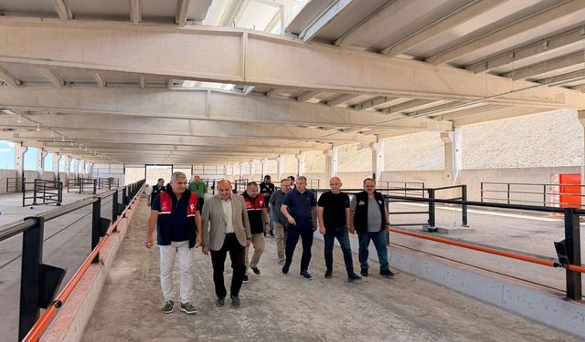 Devrekani Besi Organize Tarım Bölgesi’nde inceleme