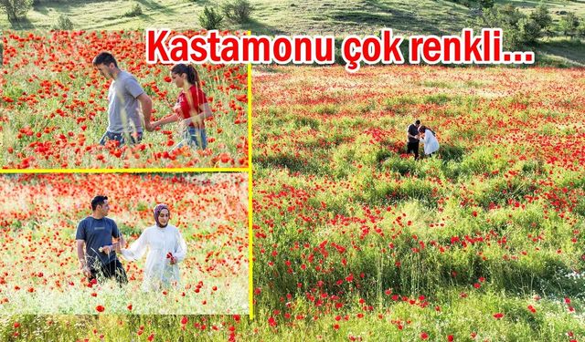 Kastamonu rengarenk çiçeklerle süslendi