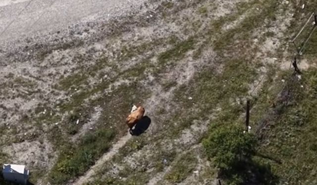 Kastamonu’da 24 saatlik arama drone ile son buldu