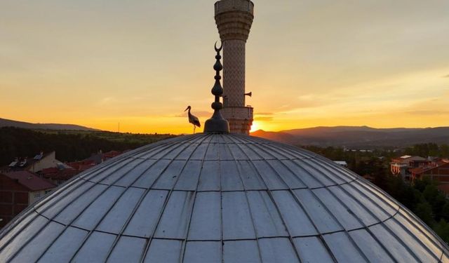 Kastamonu’da gün batarken leylekler cami kubbesini süsledi