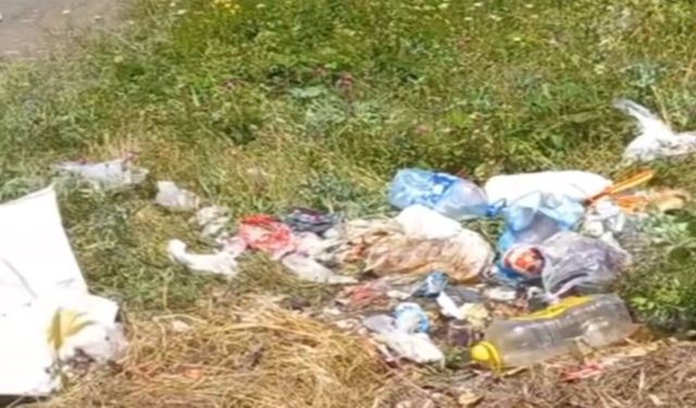 Kastamonu'da doğa katliamı: Çöplüğe döndü