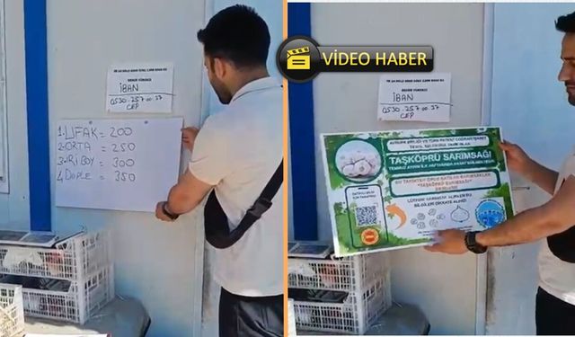 Taşköprü'de denetim ekipleri şaştı kaldı: Denetim tabelasıydı, fiyat tabelası oldu!