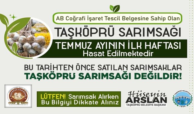 Taşköprü sarımsağı için kritik uyarı: Hasat öncesi ürünlere dikkat