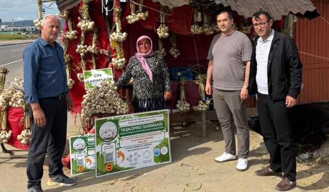 Taşköprü sarımsağı için sahada yoğun denetim: Taklit ürünlere geçit yok