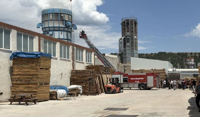 Kastamonu'da OSB'de fabrika yangını: Talaş silosu alevlere teslim oldu