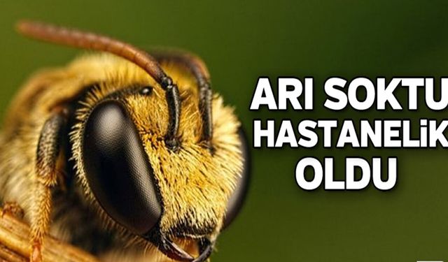 Bahçede arı saldırısı: Bir kadın yoğun bakımda