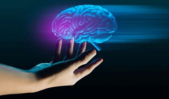 Beynin gizemli bölgesi ilk kez ayrıntılı haritalandı: Alzheimer ve Parkinson için yeni umut