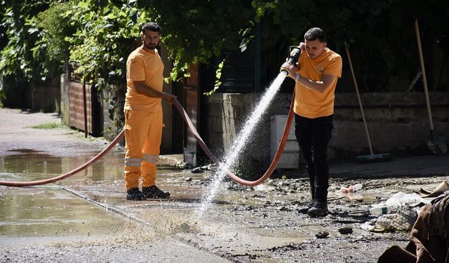 Cide’de seferberlik: 800 personel sahada