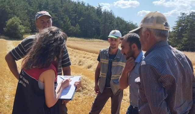 Kastamonu’da hasat sezonu başladı, denetimler arttı