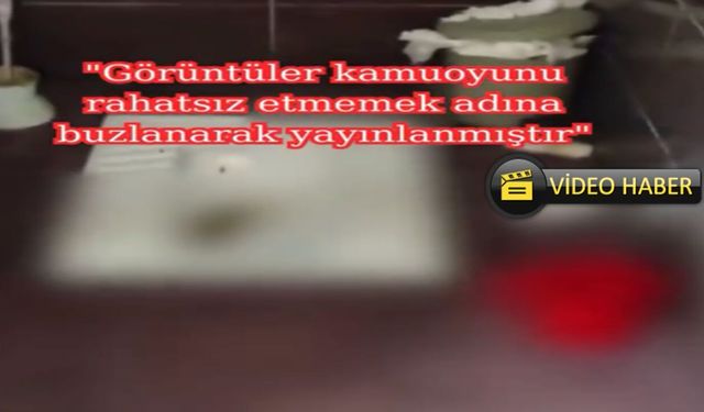 Kastamonu'da yayınlanan görüntüler mide bulandırdı