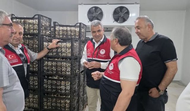 Kastamonu tarımına önemli yatırım: Sarımsak için modern depolama dönemi